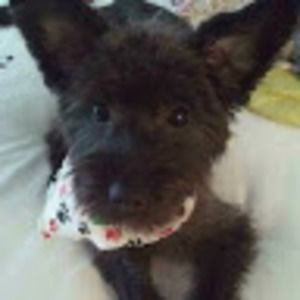 Meet your Posher, Marcy